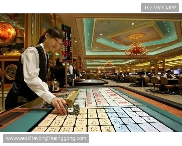 澳门几家大赌场的规模与特色全面解析,带你了解最受欢迎的博彩场所