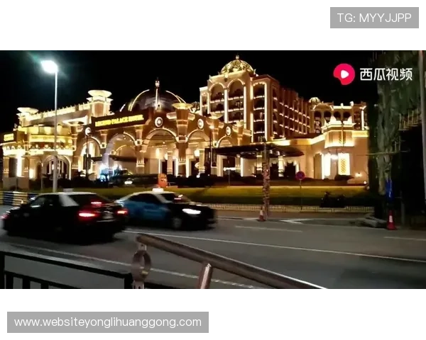 澳门华都在线登录入口稳定性分析及优化建议，确保顺畅体验