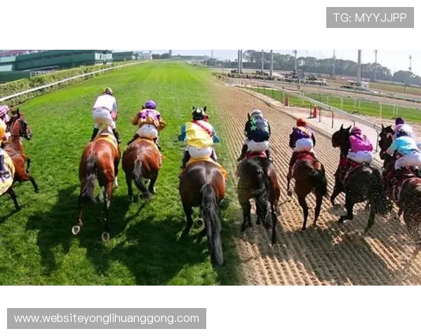 澳门官方宣布4月暂停所有赛马比赛对本地旅游和博彩产业的影响详解