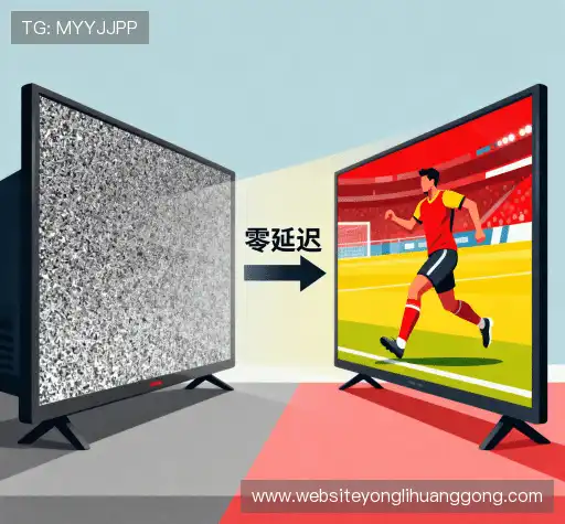 为什么选择我们